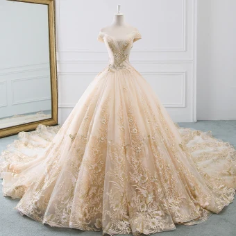 Charming Champagne Wedding Dresses 2019 A Line Princess Off The Shoulder Rhinestone Lace Flower Short Sleeve Backless Cathedral Train