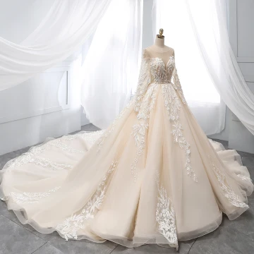 Chic Beautiful Champagne Wedding Dresses 2019 A Line Princess Scoop Neck Lace Flower Appliques Beading Pearl Sequins Long Sleeve Backless Cathedral Train