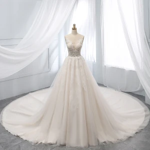 Chic Beautiful Champagne Wedding Dresses 2019 A Line Princess Deep V Neck Beading Lace Flower Short Sleeve Backless Chapel Train