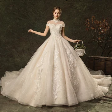 Élégant Champagne Robe De Mariée 2019 Princesse Col Haut Perlage En Dentelle Fleur Mancherons Dos Nu Cathedral Train