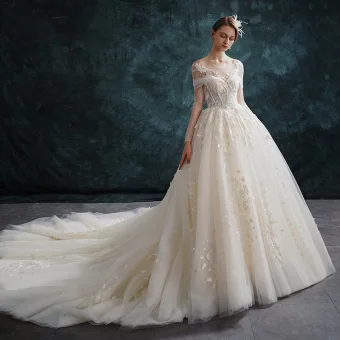 Elegant Champagne Wedding Dresses 2019 A Line Princess Scoop Neck Lace Flower Long Sleeve Backless Cathedral Train