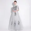 Chic / Beautiful Grey Evening Dresses  2018 A-Line / Princess Lace Appliques High Neck 1/2 Sleeves Floor-Length / Long Formal Dresses