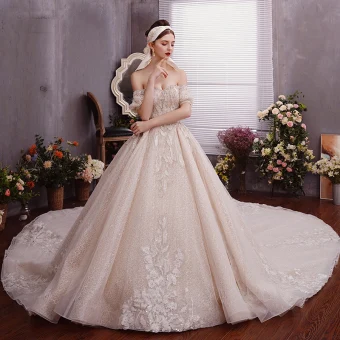 Charming Champagne Wedding Dresses 2019 A Line Princess Off The Shoulder Beading Crystal Sequins Pearl Sleeveless Backless Royal Train