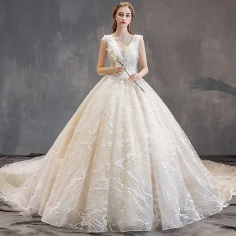 Elegante Champagne Trouwjurken 2019 A Lijn V Hals Kant Bloem Mouwloos Ruglooze Cathedral Train