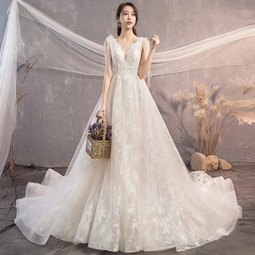 Élégant Champagne Robe De Mariée 2019 Princesse V Cou Perlage Paillettes En Dentelle Fleur Sans Manches Dos Nu Noeud Chapel Train
