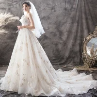 Chic / Belle Champagne Robe De Mariée 2019 Princesse Bustier Perle En Dentelle Fleur Dos Nu Noeud Sans Manches Tribunal Train
