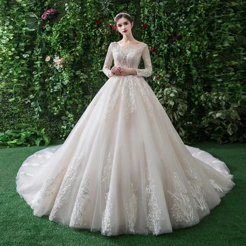 Edles Champagner Brautkleider / Hochzeitskleider 2019 A Linie Rundhalsausschnitt Spitze Blumen Lange Ärmel Rückenfreies Königliche Schleppe
