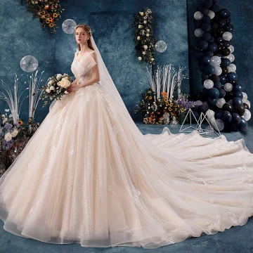 Luxe Champagne Robe De Mariée 2019 Princesse V Cou Paillettes En Dentelle Fleur Sans Manches Dos Nu Royal Train