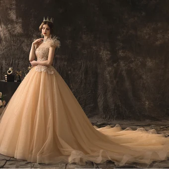 Haut De Gamme Champagne Robe De Mariée 2019 Princesse Col Haut Perlage Paillettes En Dentelle Fleur Manches Courtes Gland Dos Nu Cathedral Train