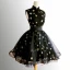 Style Chinois Noire Robe De Fete 2018 Robe Boule Paillettes Étoile Col Haut Sans Manches Courte Robe De Ceremonie