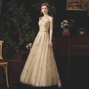 Charming Champagne Evening Dresses 2019 A Line Princess Spaghetti Straps Lace Star Sequins Sleeveless Backless Floor Length Long Formal Dresses