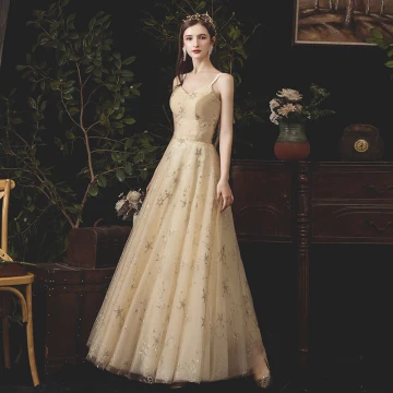 Charmant Champagne Robe De Soirée 2019 Princesse Bretelles Spaghetti En Dentelle Étoile Paillettes Sans Manches Dos Nu Longue Robe De Ceremonie