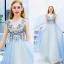 Modern / Fashion Sky Blue Evening Dresses  2019 A-Line / Princess V-Neck Beading Pearl Rhinestone Lace Flower Sleeveless Backless Sweep Train Formal Dresses