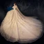 High-end Champagne Wedding Dresses 2019 A-Line / Princess Scoop Neck Beading Appliques Lace Flower Rhinestone 3/4 Sleeve Backless Glitter Royal Train