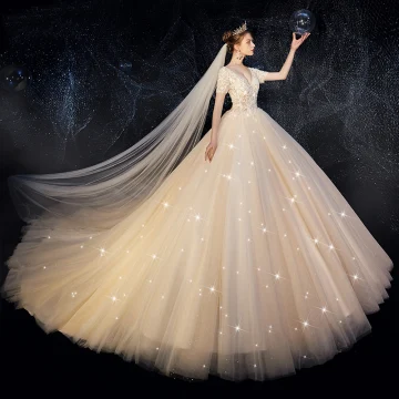 High End Champagne Wedding Dresses 2019 A Line Princess V Neck Beading Sequins Lace Flower Short Sleeve Backless Cathedral Train