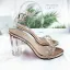 Sexy Transparent Champagne Crystal Womens Sandals 2021 Street Wear Ankle Strap Rhinestone 10 cm Thick Heels Open / Peep Toe Sandals High Heels