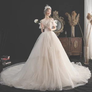 Charmant Champagne Robe De Mariée 2019 Princesse Bretelles Spaghetti Perlage Paillettes En Dentelle Fleur Manches Courtes Dos Nu Cathedral Train