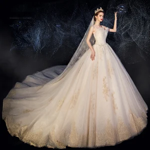 Haut De Gamme Champagne Robe De Mariée 2019 Princesse Bretelles Spaghetti Volants Perlage Paillettes En Dentelle Fleur Sans Manches Dos Nu Chapel Train