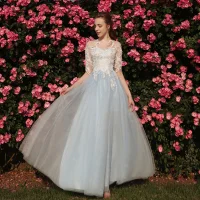 Chic / Belle Bleu Ciel Robe De Bal 2018 Princesse Appliques Encolure Dégagée 1/2 Manches Longue Robe De Ceremonie