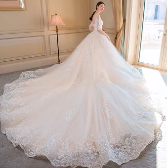 Elegant Champagne Wedding Dresses 2018 Ball Gown Lace Appliques Spaghetti Straps Backless Cathedral Train Short Sleeve Wedding