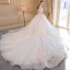 Elegant Champagne Wedding Dresses 2018 Ball Gown Lace Appliques Spaghetti Straps Backless Cathedral Train Short Sleeve Wedding