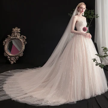 Charmant Champagne Robe De Mariée 2019 Princesse Bustier Perlage Paillettes En Dentelle Fleur Sans Manches Dos Nu Chapel Train