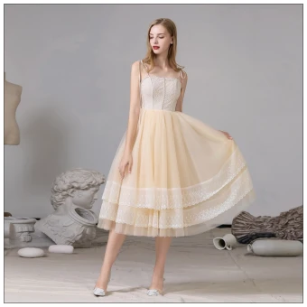 Fashion Champagne Homecoming Graduation Dresses 2020 A Line Princess Spaghetti Straps Lace Sleeveless Backless Tea Length Formal Dresses