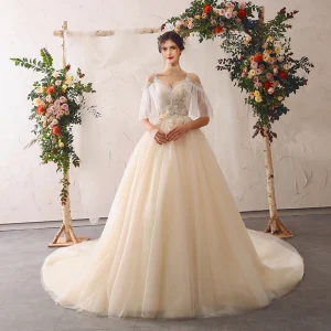 Charmant Champagne Robe De Mariée 2020 Princesse V Cou Perlage En Dentelle Fleur Appliques Volants Manches De Cloche Dos Nu Cathedral Train