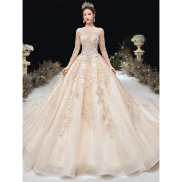 High End Champagne Trouwjurken 2020 A Lijn Ronde Hals Kralen Rhinestone Kant Bloem Lange Mouwen Ruglooze Cathedral Train
