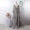 Luxury / Gorgeous Grey Handmade  Beading Evening Dresses  2020 A-Line / Princess Deep V-Neck Crystal Rhinestone Lace Flower Long Sleeve Sweep Train Formal Dresses