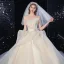 Luxe Champagne Robe De Mariée 2020 Robe Boule Bustier Plumes Perlage En Dentelle Fleur Sans Manches Dos Nu Volants en Cascade Royal Train