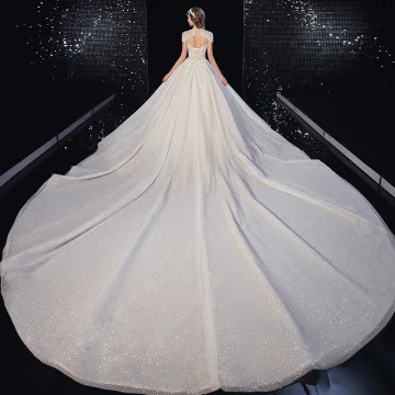 Luxury Gorgeous Champagne Glitter Wedding Dresses 2020 A Line Princess Scoop Neck Beading Tassel Rhinestone Lace Flower Short Sleeve Backless Royal Train