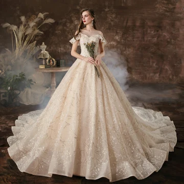 Charming Champagne Wedding Dresses 2020 A Line Princess Scoop Neck Beading Sequins Lace Flower Short Sleeve Backless Cathedral Train