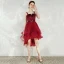 Fashion Burgundy Homecoming Graduation Dresses 2020 A-Line / Princess Suede Spaghetti Straps Star Sequins Rhinestone Sash Sleeveless Backless Asymmetrical Formal Dresses