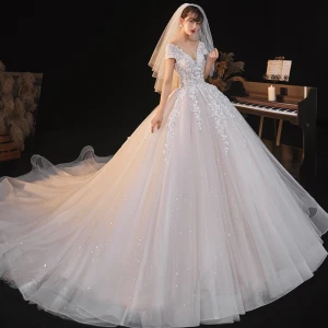 Charming Champagne Wedding Dresses 2020 Ball Gown See Through V Neck Beading Star Sequins Lace Flower Short Sleeve Backless Royal Train