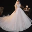 Charming Champagne Wedding Dresses 2020 Ball Gown See-through V-Neck Beading Star Sequins Lace Flower Short Sleeve Backless Royal Train
