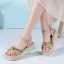 Fashion Summer Beige Street Wear Womens Sandals 2020 6 cm Wedges Platform Open / Peep Toe Sandals