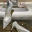 Sparkly Charming White Lace Rhinestone Wedding Shoes 2021 Tulle 7 cm Stiletto Heels Pointed Toe Wedding Pumps
