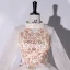 Élégant Champagne Robe De Bal 2022 Robe Boule Encolure Dégagée Étoile En Dentelle Perlage Perle Paillettes Manches Longues Longue Robe De Ceremonie