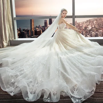Modern Fashion Champagne Wedding Dresses 2018 A Line Princess Lace Flower Star Spaghetti Straps Backless Sleeveless Cathedral Train Wedding