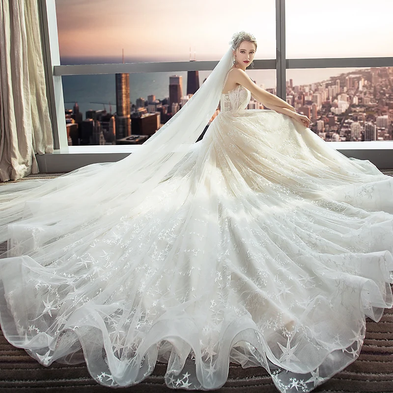 Modern Fashion Champagne Wedding Dresses 2018 A Line Princess Lace Flower  Star Spaghetti Straps Backless Sleeveless Cathedral Train Wedding