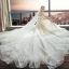 Modern / Fashion Champagne Wedding Dresses 2018 A-Line / Princess Lace Flower Star Spaghetti Straps Backless Sleeveless Cathedral Train Wedding