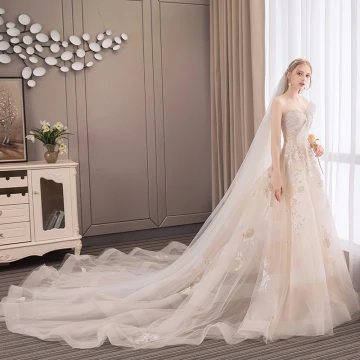 Moderne Mode Champagne Robe De Mariée 2018 Princesse Appliques En Dentelle Fleur Perle Paillettes Noeud Bustier Dos Nu Sans Manches Cathedral Train Mariage