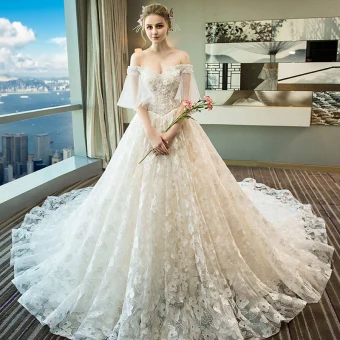Charming Champagne Wedding Dresses 2018 A Line Princess Appliques Beading Crystal Sequins Lace Off The Shoulder Backless Short Sleeve Royal Train Wedding