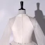 Élégant Champagne Robe De Bal 2022 Robe Boule Encolure Dégagée Étoile En Dentelle Perlage Perle Paillettes Manches Longues Longue Robe De Ceremonie