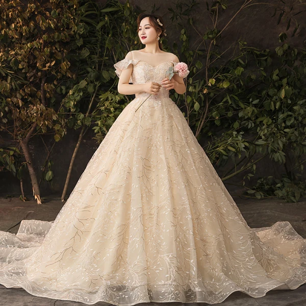 Sparkly Bling Bling Champagne Wedding Dresses 2019 A-Line / Princess Lace Tulle Floral Plus Size Embroidered Glitter Sequins Strapless Chapel Train Wedding