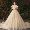 Sparkly Bling Bling Champagne Wedding Dresses 2019 A-Line / Princess Lace Tulle Floral Plus Size Embroidered Glitter Sequins Strapless Chapel Train Wedding