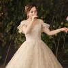 Sparkly Bling Bling Champagne Wedding Dresses 2019 A-Line / Princess Lace Tulle Floral Plus Size Embroidered Glitter Sequins Strapless Chapel Train Wedding