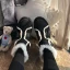 Modern / Fashion Black Snow Boots 2020 Woolen Leather Ankle Suede Winter Flat Round Toe Casual Womens Boots