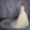 Flower Fairy Yellow Prom Dresses 2017 A-Line / Princess Scoop Neck Long Sleeve Appliques Flower Ruffle Tulle Royal Train Formal Dresses